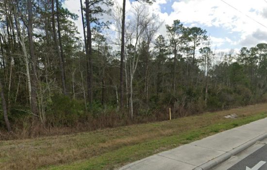 1/2 Acre Middleburg, Florida Lot – Brannan Oaks Drive, Middleburg, FL 32068