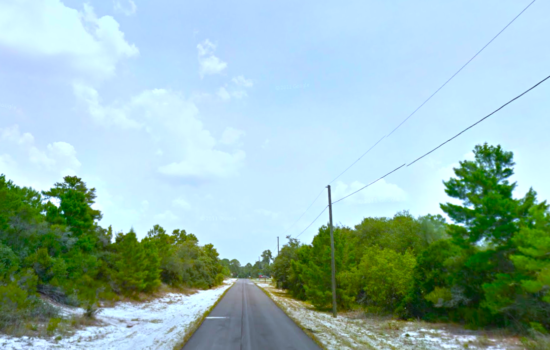 221 Imbros Avenue NE, Lake Placid, FL 33852 – This is 1 of 3 great lots on the street!